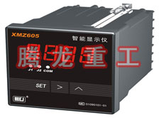 溫度表、數(shù)字顯示儀、濕度表