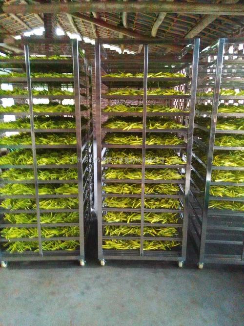 黃花菜烘干機(jī)、黃花菜烘干設(shè)備、黃花菜干燥機(jī)、黃花菜干燥設(shè)備、
