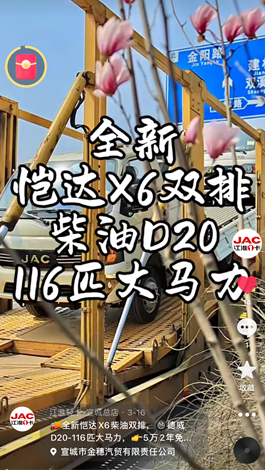 全新愷達(dá)X6柴油雙排，德威D20-116匹大馬力。